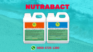 Jual Bakteri Pengurai Limbah di Padang