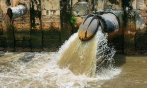 Jual Bakteri Pengurai Limbah di Padang